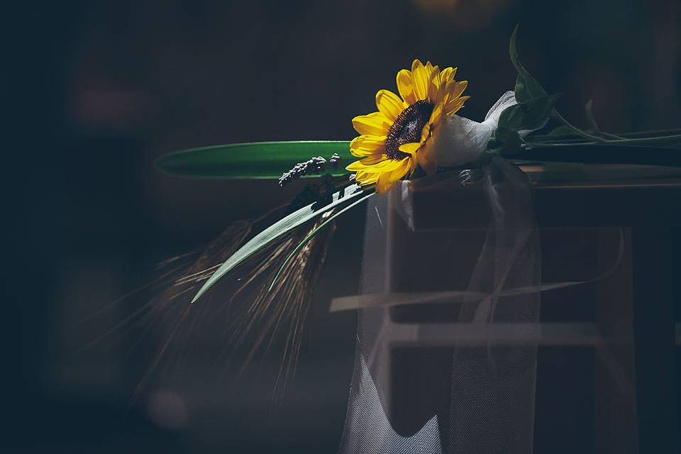 Gianluca Rossetti Photo
