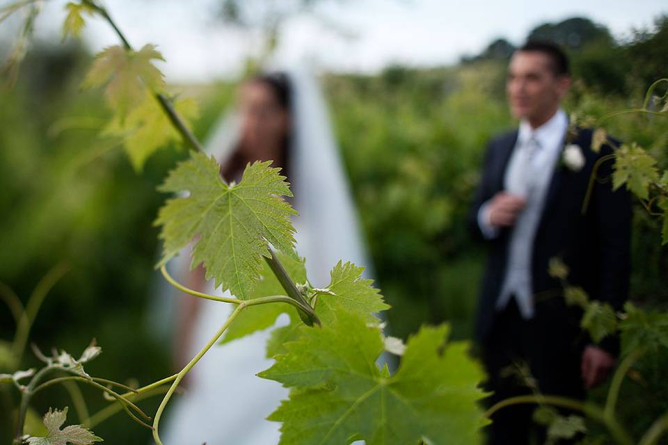 Gianluca Rossetti Photo
