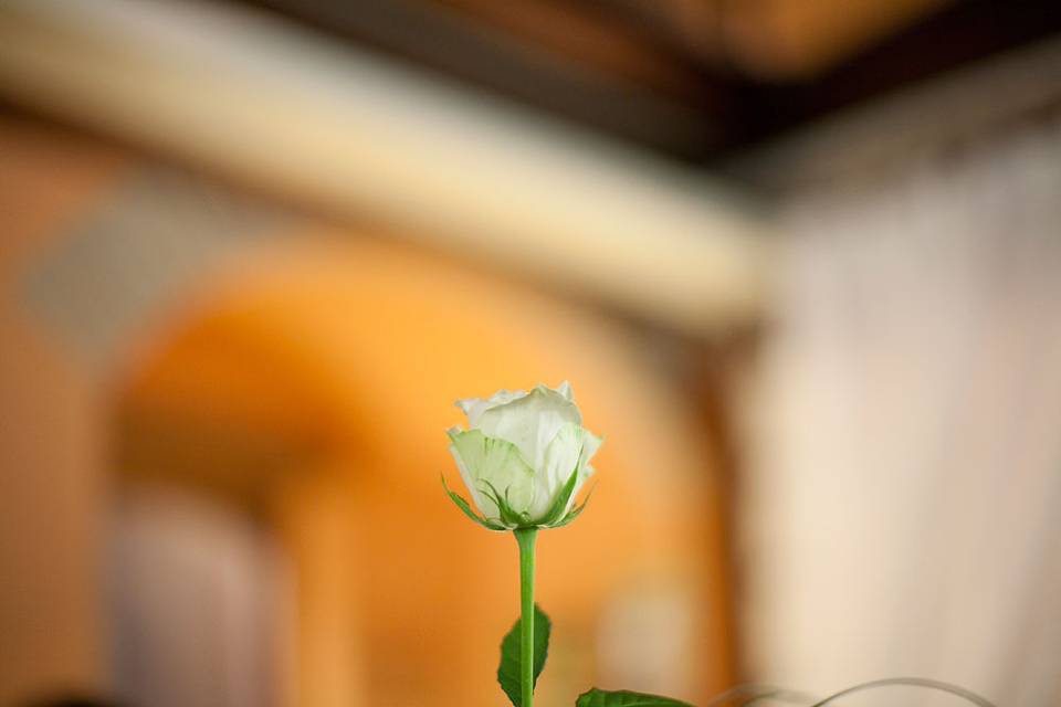 Gianluca Rossetti Photo