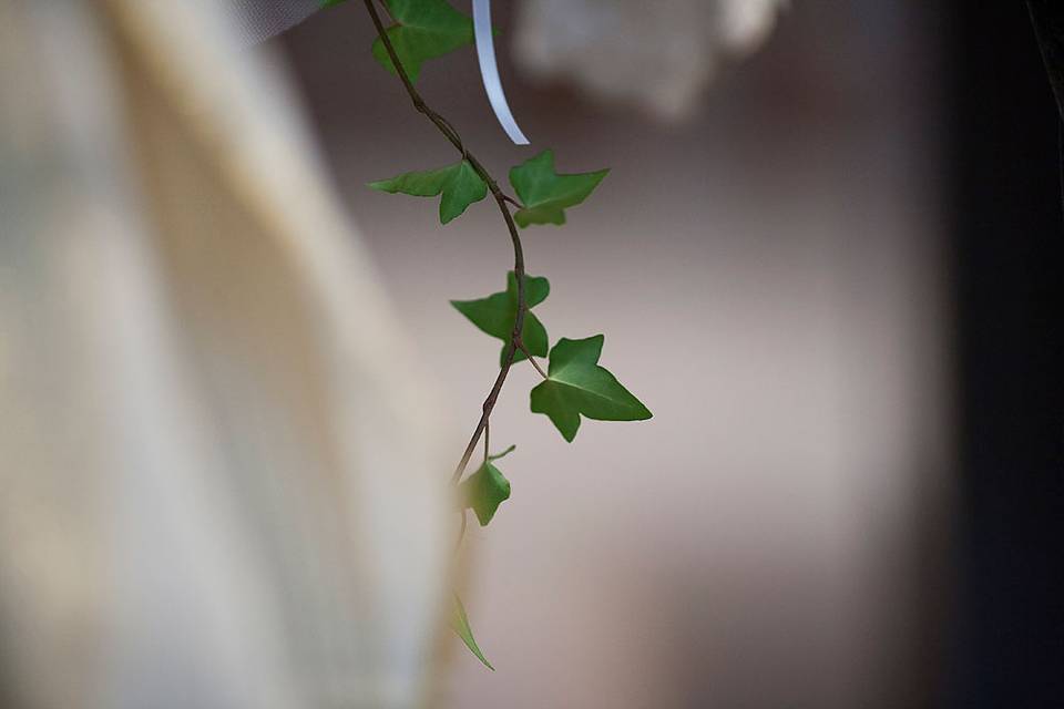 Gianluca Rossetti Photo