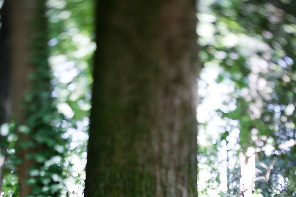 Gianluca Rossetti Photo