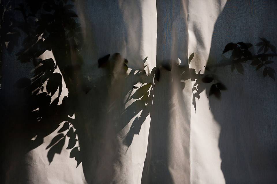 Gianluca Rossetti Photo