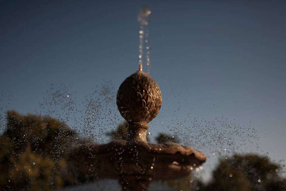 Gianluca Rossetti Photo