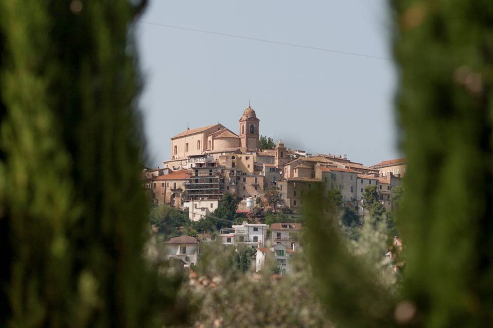 Gianluca Rossetti Photo
