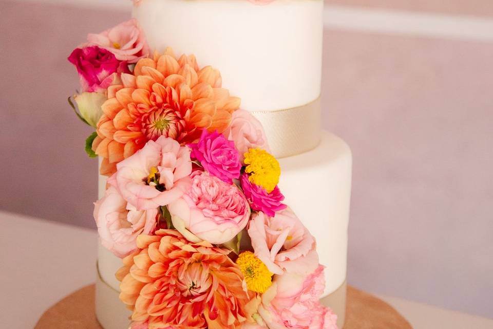 Il Regno delle Torte