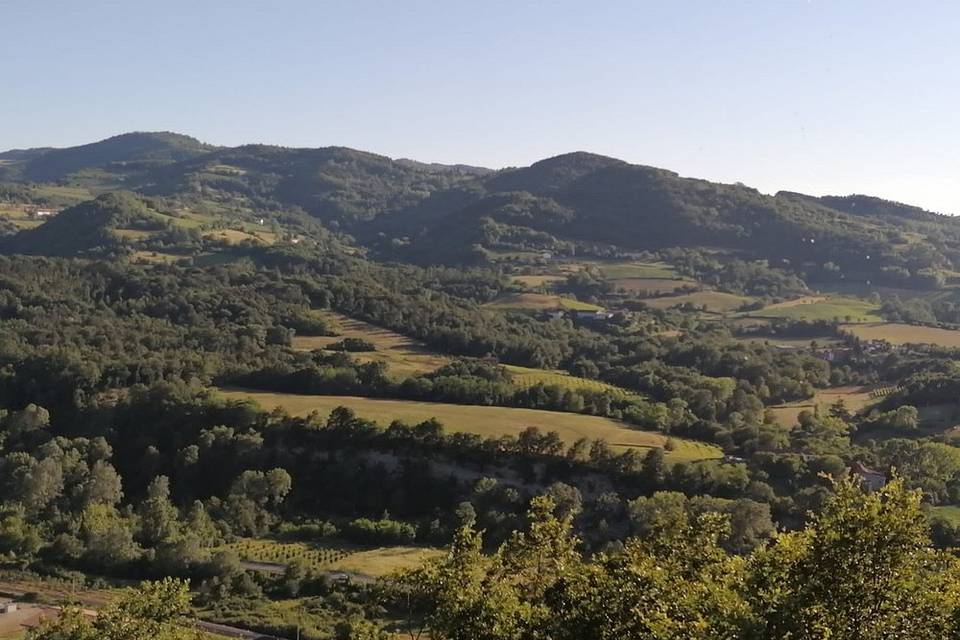 Panoramica