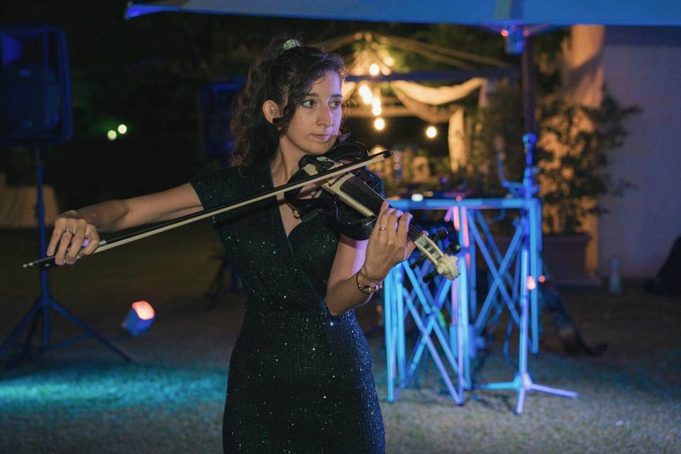 Violin