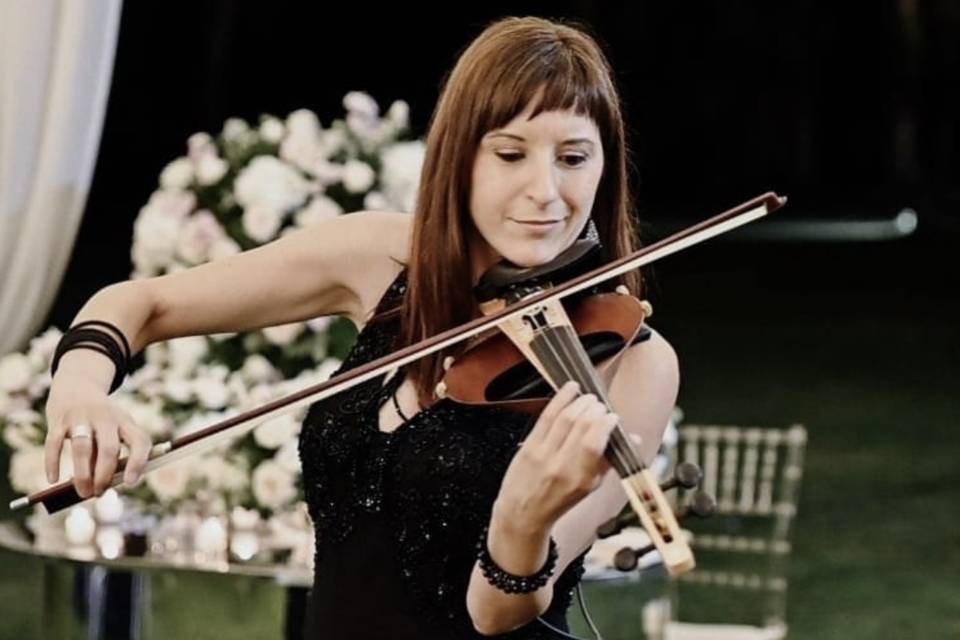 RM Violin Show