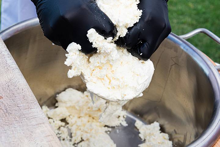 Enjoy Mozzarella