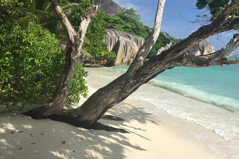 Seychelles (Foto Michela A.)