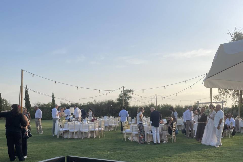 Wedding