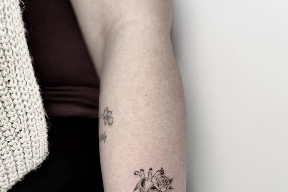 Fine line