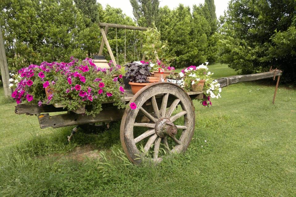 Agriturismo Il Selvello