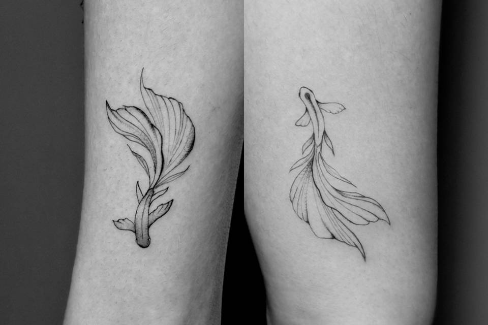 Fine line