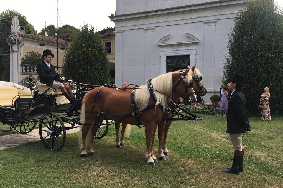 Arrivo - F.lli Zucchi Carrozze e Cavalli