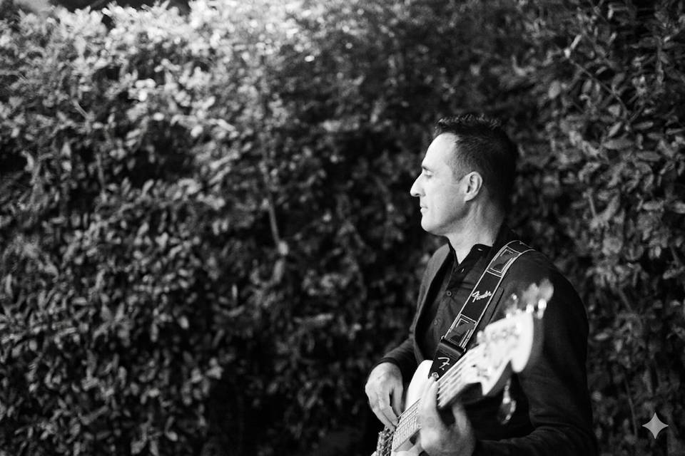 Bassist on stage
