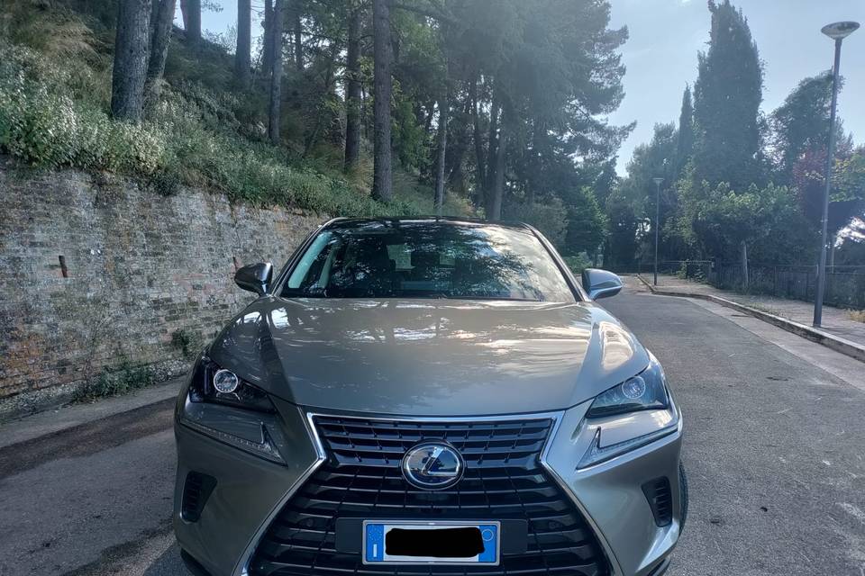 Front Lexus