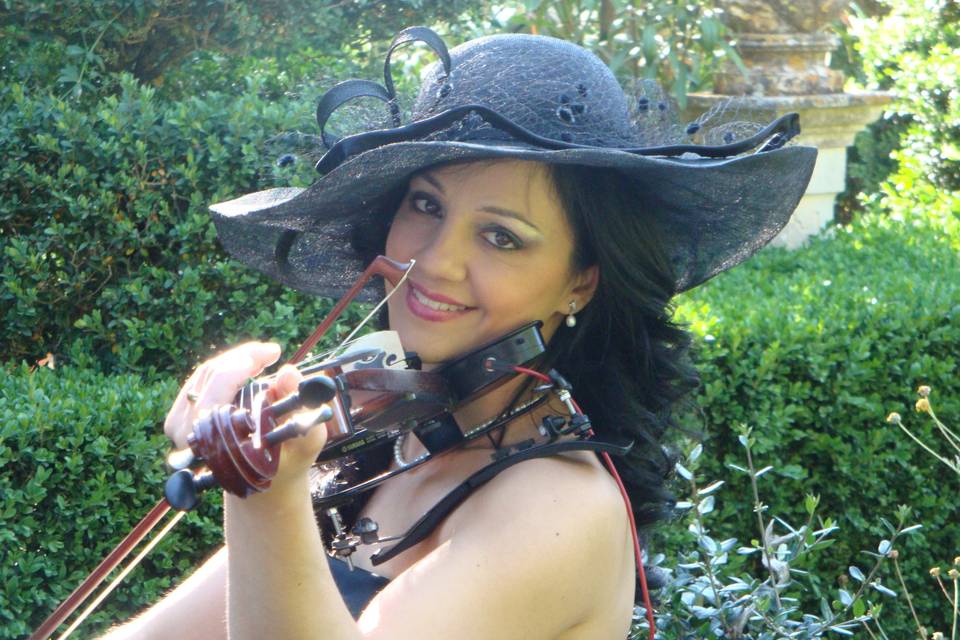 Antonellaviolin