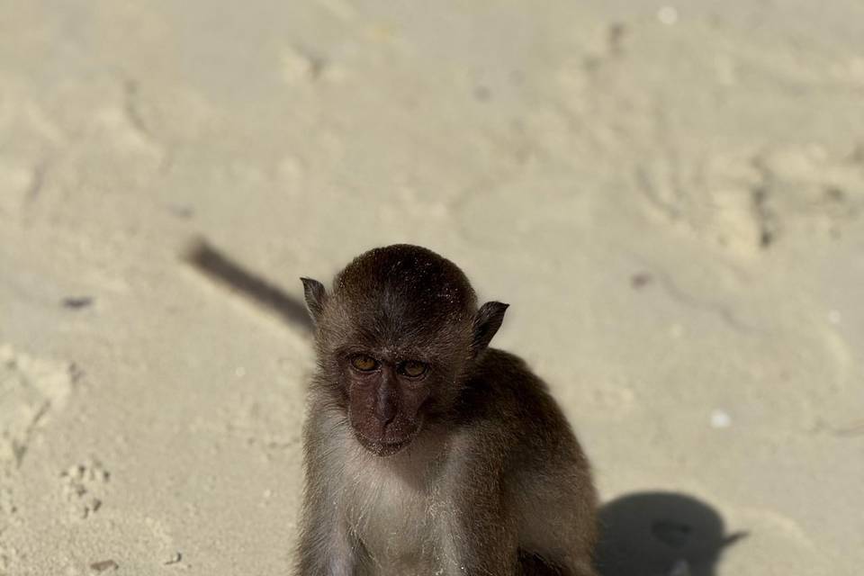 Thailandia