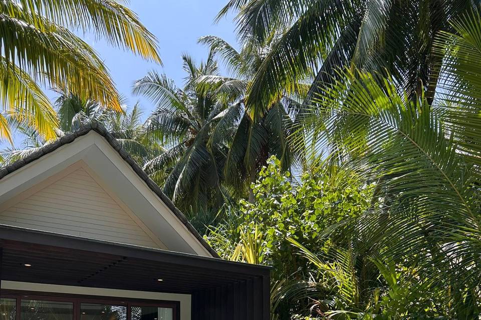 Maldive