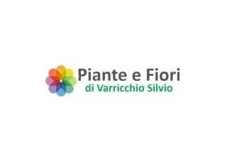 Piante e Fiori di Varricchio Silvio