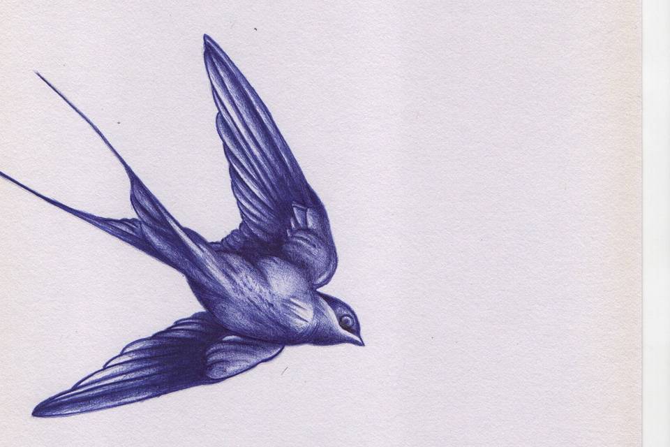 Drawing bic pen