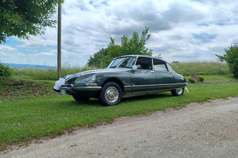 New entry 2026! Citroen Pallas