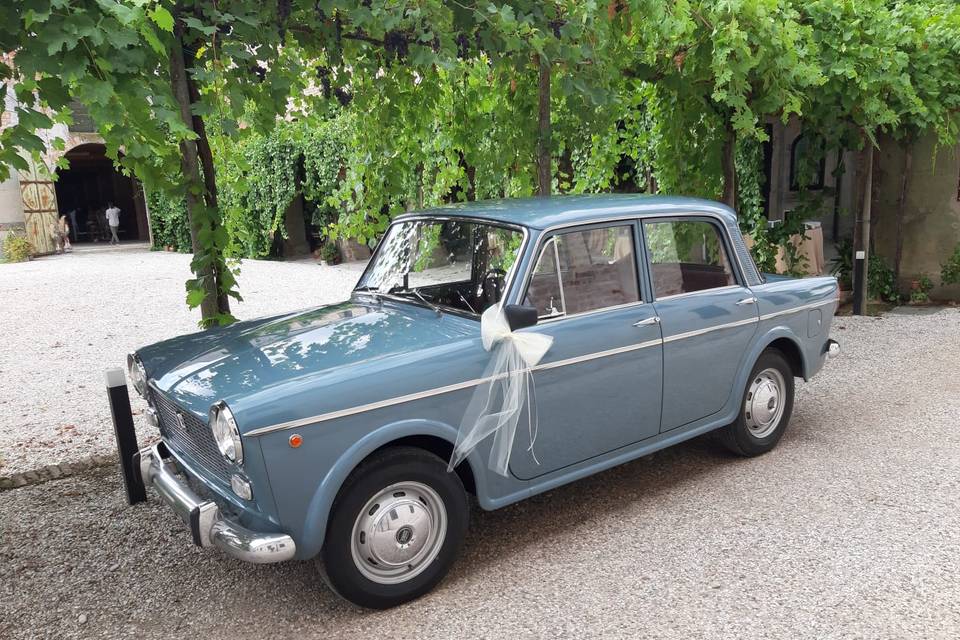 Fiat 1100