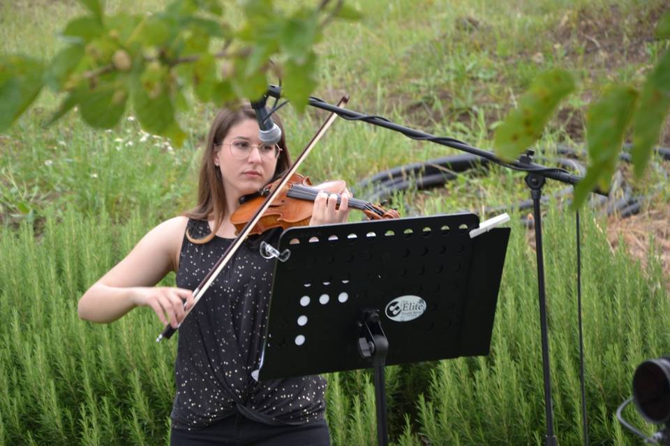 Sofia Ribaudo - Violinista