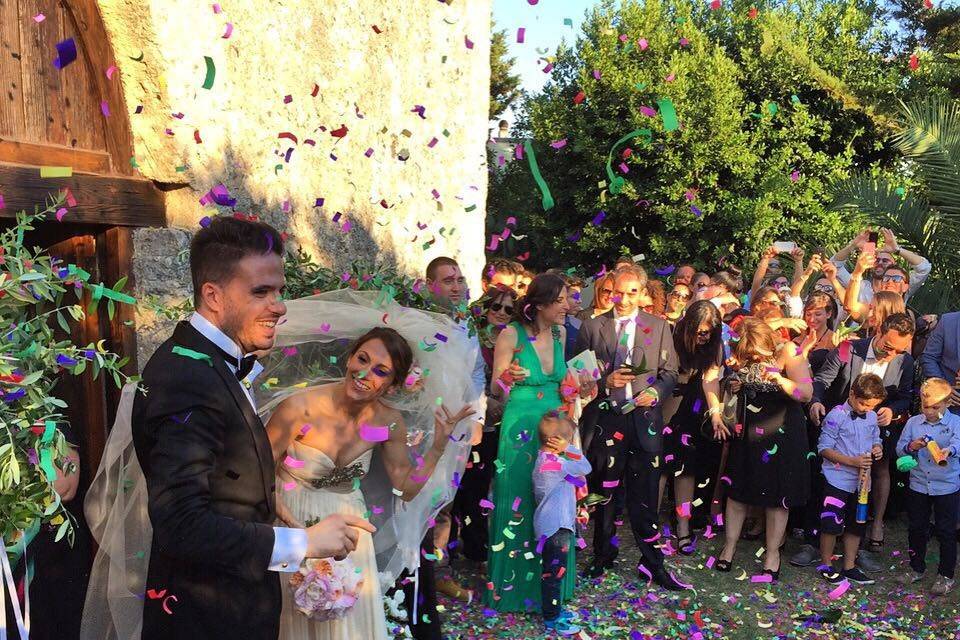 Wedding