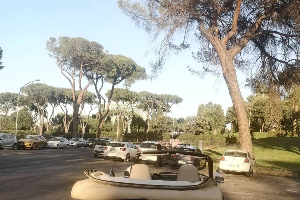 Maggiolone per eventi