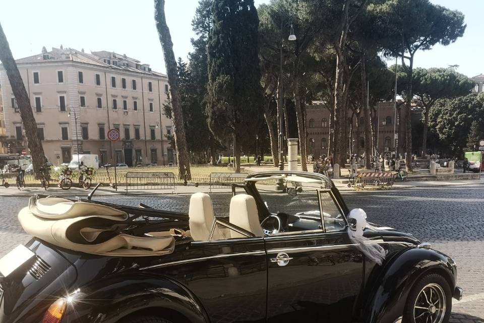 Maggiolone per eventi