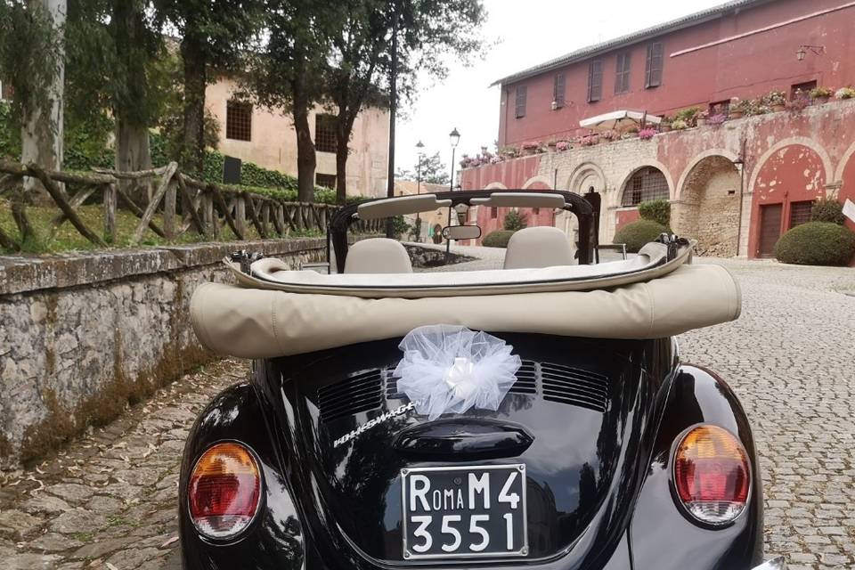 Maggiolone per eventi