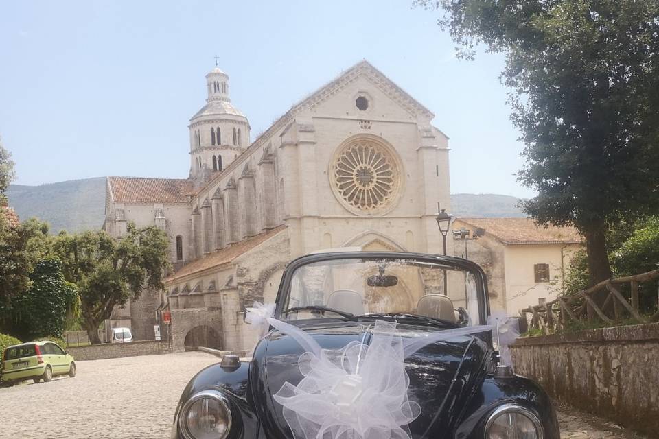 Maggiolone per eventi