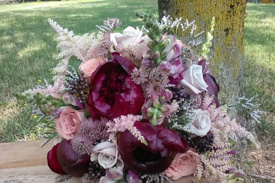 Peonie bordeaux