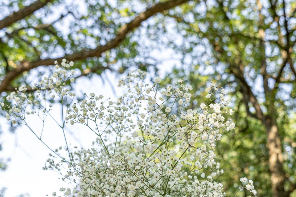 Composizione nuziale con fiori e nastro
