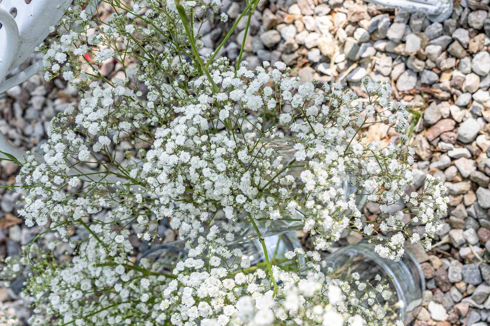 Primo piano di fiori bianchi su ghiaia