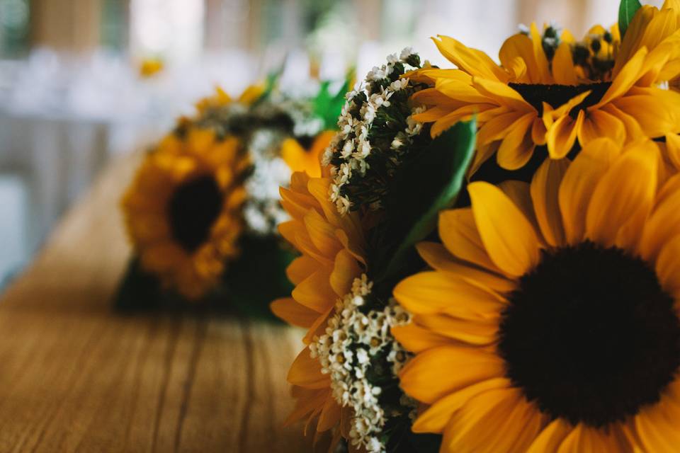 Girasoli e fiori bianchi