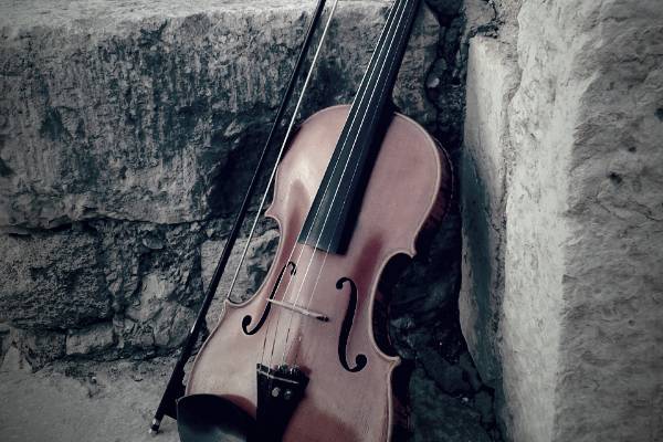 Violin