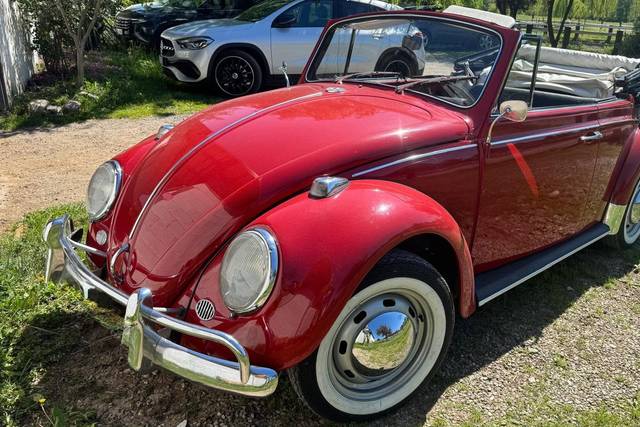 Maggiolino cabrio 67