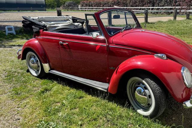 Maggiolino cabrio 1967