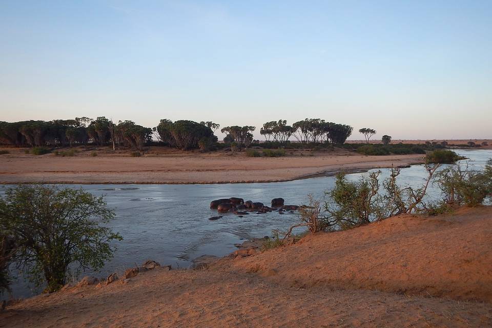 Kenya