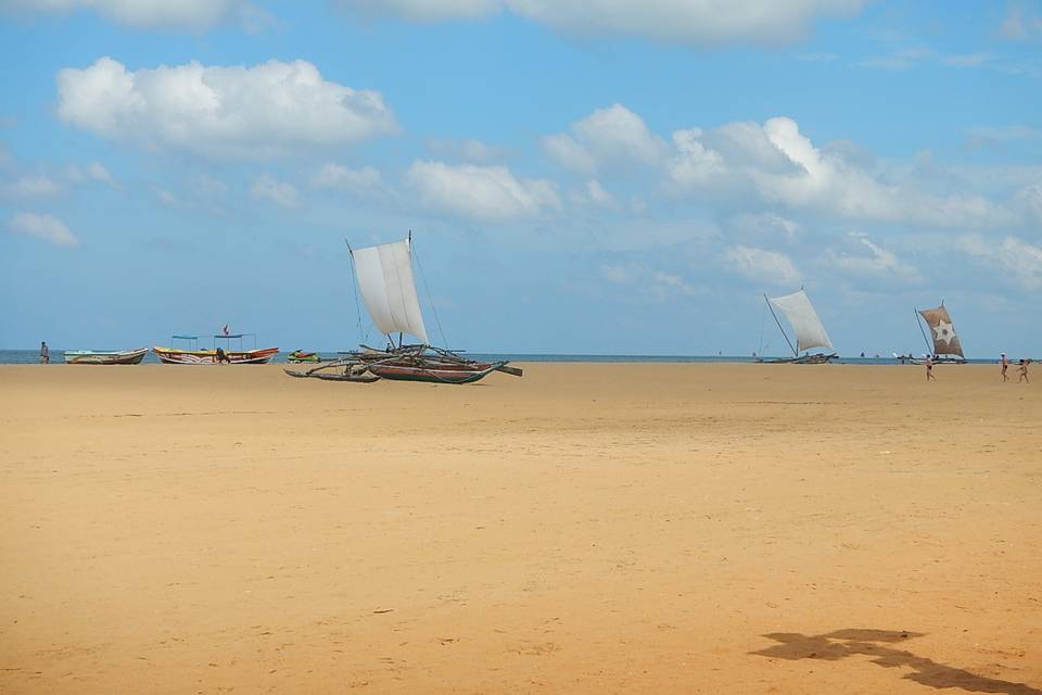 Srilanka