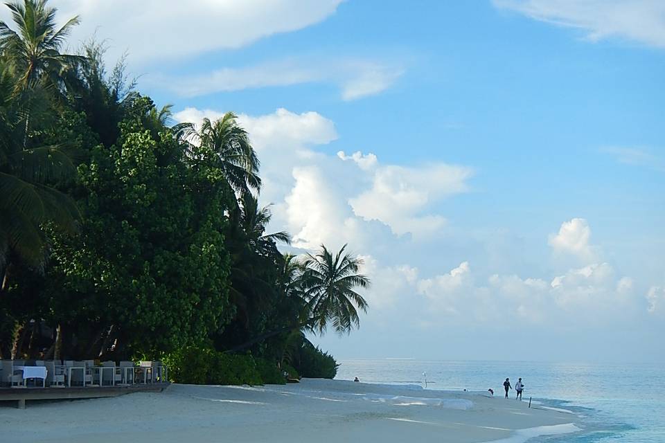Maldive
