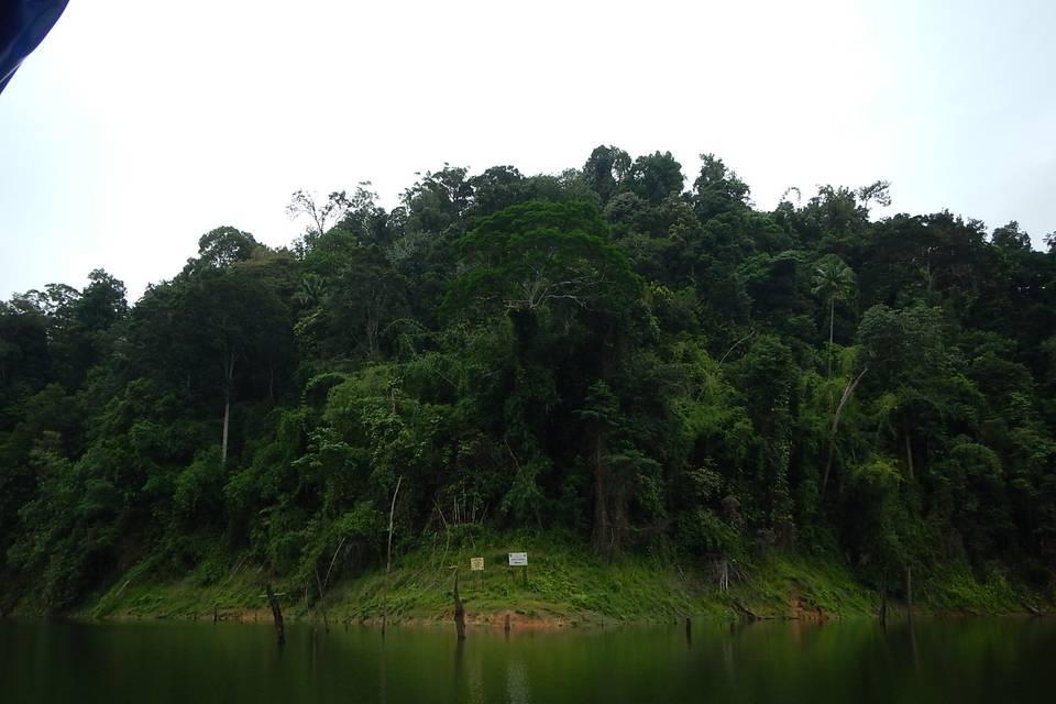 Malesia