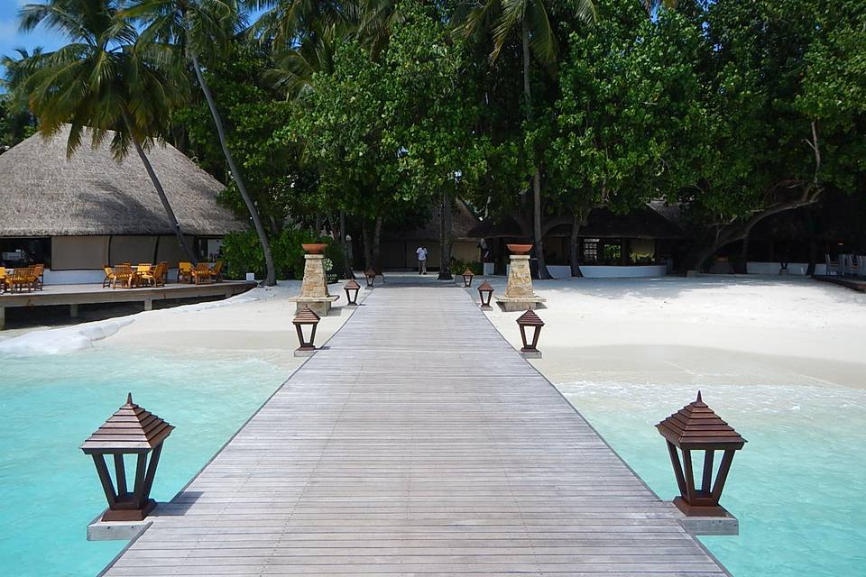 Maldive