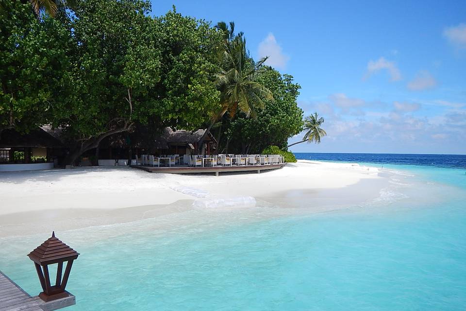 Maldive