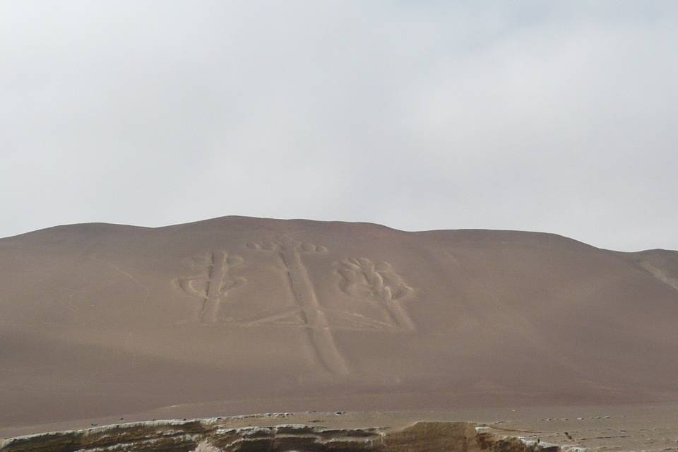 Perù Isole Ballestas