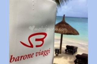 Barone Viaggi logo