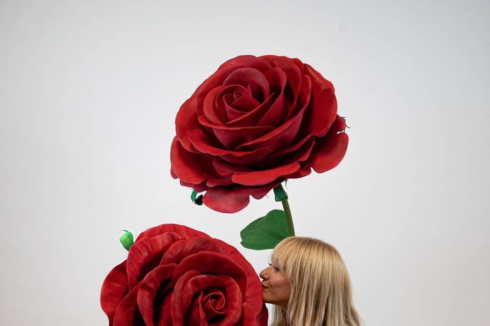 Rose Rosse!